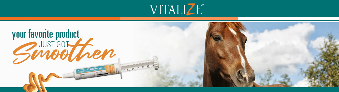 Vitalize Equine Recovery Gel