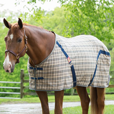 Stable Sheet
