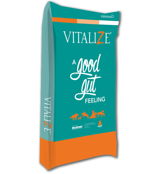 Vitalize® Digest More Plus