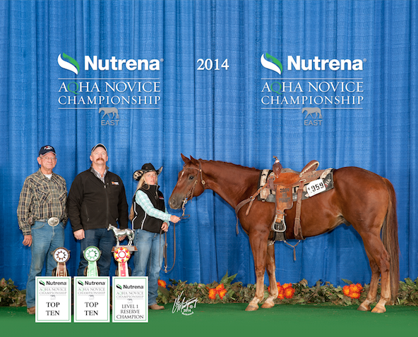 AQHA Champion uses Vitalize