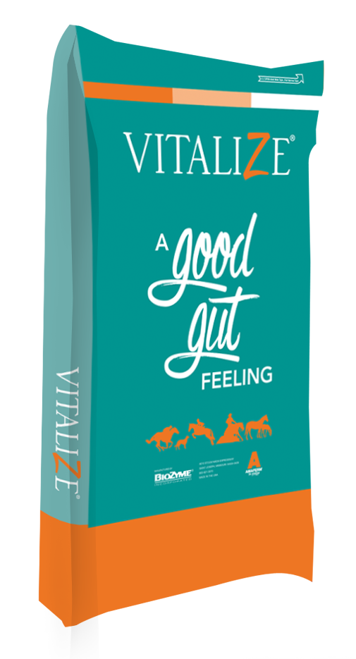 Vitalize Equine Free Choice