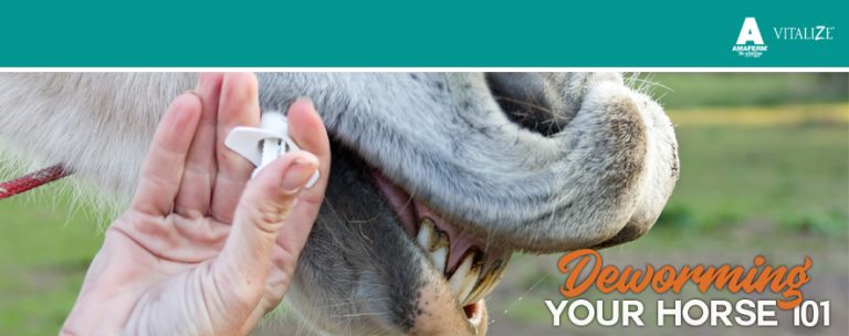 Deworming Your Horse 101 Vitalize