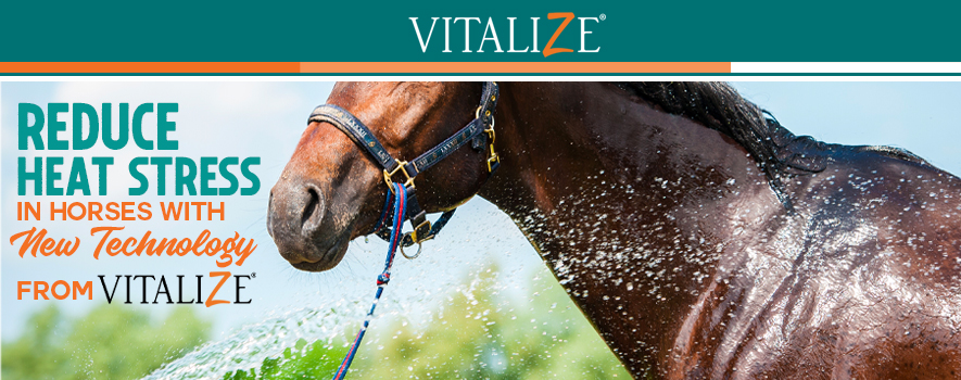 VITALIZE Blazin - Horse Heat Stress & Exertion Recovery - Calming  Supplement - Promotes Hydration & Water Retention (32 fl oz)