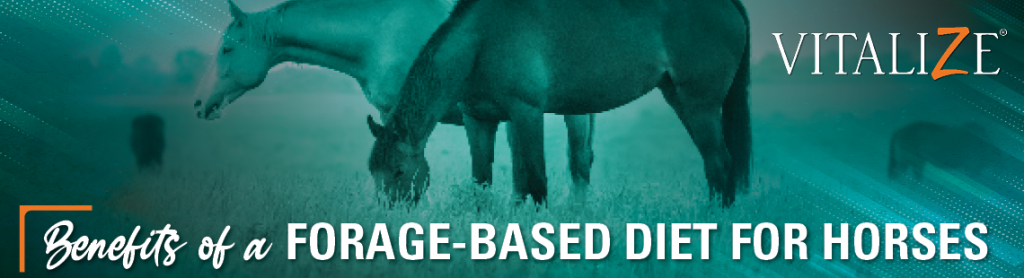 Benefits of a Forage-Based Diet For Horses