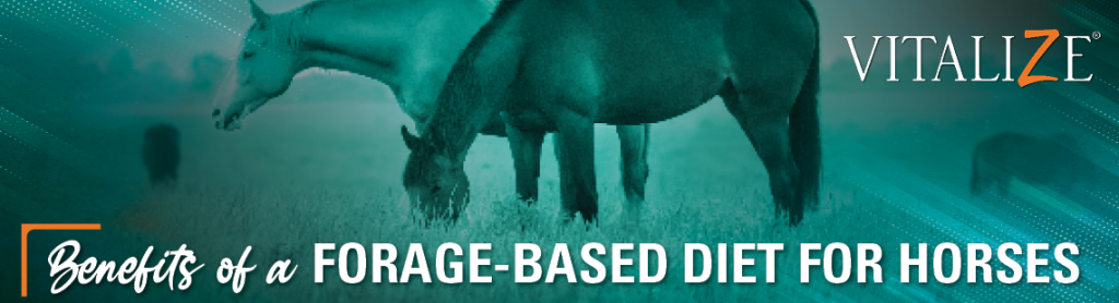 What To Consider When Transitioning to a Forage-only Diet for Horses -  Vitalize