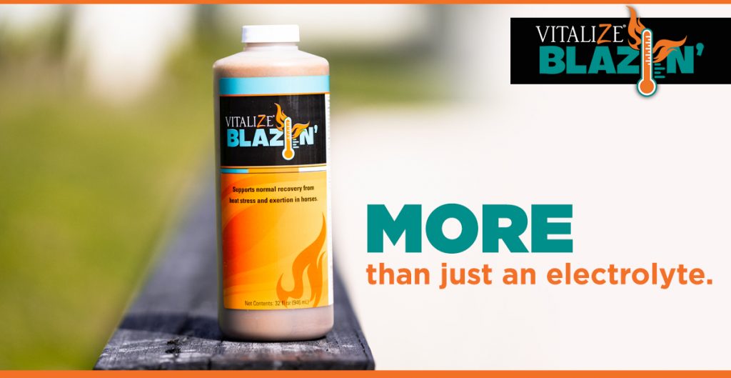 Signs of Heat Stress in Horses Vitalize Blazin electrolyte in horses 