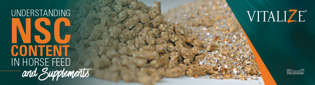 Understanding NSC Content in Horse Feed and Supplements, Horse Feeds, Slow Horse Feeds 