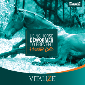 horse dewormer