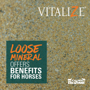 loose mineral for horses