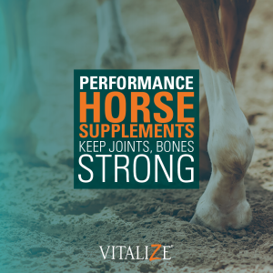 performance horse supplements