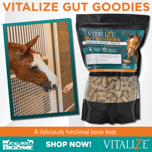 gut goodies